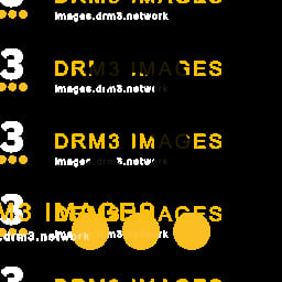 DRM3 News mark
