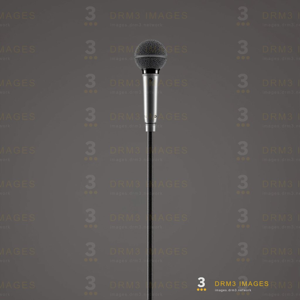 Boom microphone